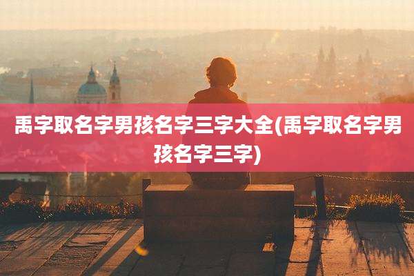 禹字取名字男孩名字三字大全(禹字取名字男孩名字三字)