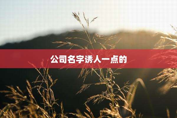公司名字诱人一点的
