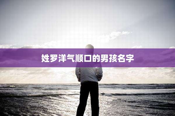 姓罗洋气顺口的男孩名字