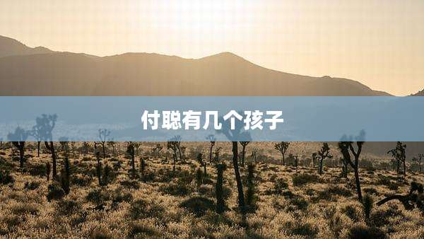 付聪有几个孩子