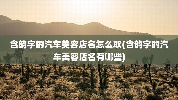 含韵字的汽车美容店名怎么取(含韵字的汽车美容店名有哪些)