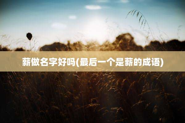 薪做名字好吗(最后一个是薪的成语)