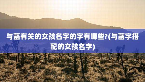 与菡有关的女孩名字的字有哪些?(与菡字搭配的女孩名字)