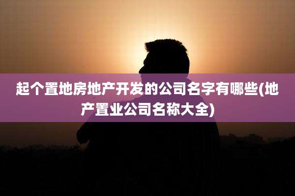 起个置地房地产开发的公司名字有哪些(地产置业公司名称大全)