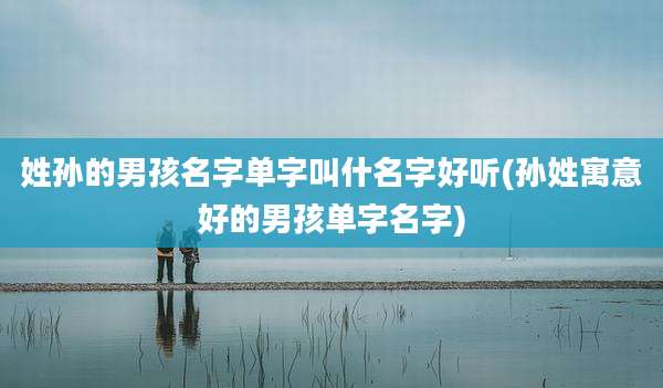 姓孙的男孩名字单字叫什名字好听(孙姓寓意好的男孩单字名字)