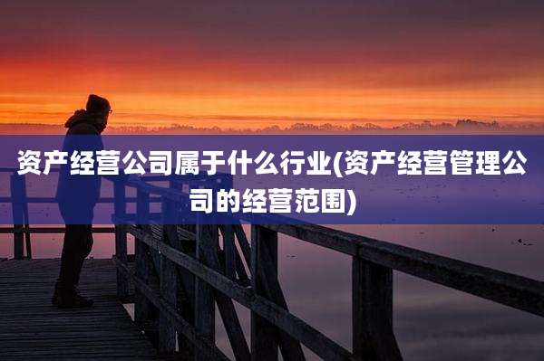 资产经营公司属于什么行业(资产经营管理公司的经营范围)