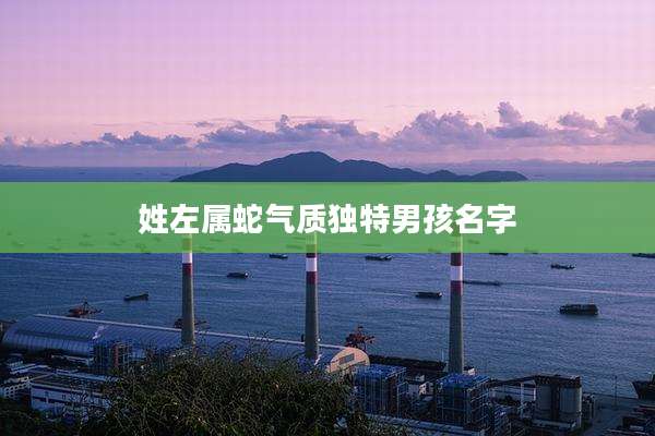 姓左属蛇气质独特男孩名字