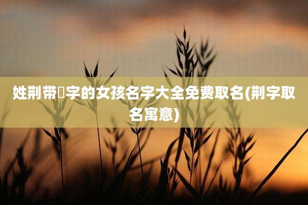 姓荆带彧字的女孩名字大全免费取名(荆字取名寓意)