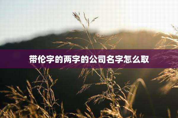 带伦字的两字的公司名字怎么取