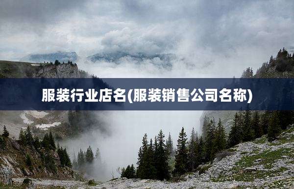 服装行业店名(服装销售公司名称)
