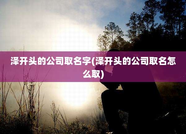 泽开头的公司取名字(泽开头的公司取名怎么取)