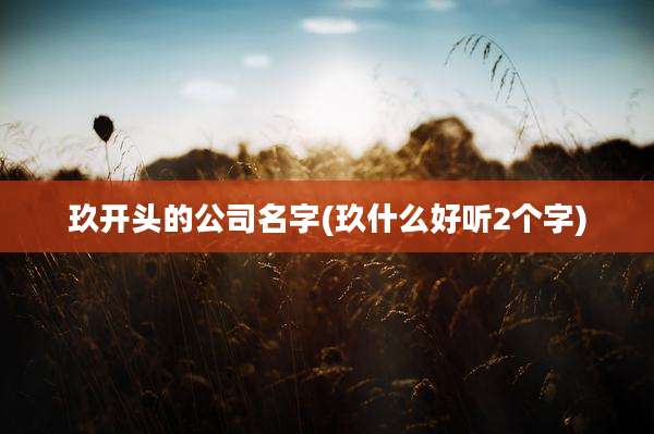 玖开头的公司名字(玖什么好听2个字)