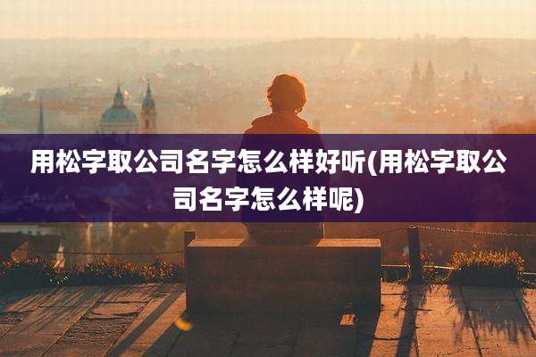 用松字取公司名字怎么样好听(用松字取公司名字怎么样呢)