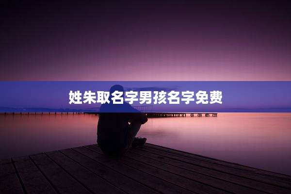 姓朱取名字男孩名字免费