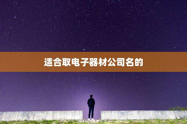 适合取电子器材公司名的