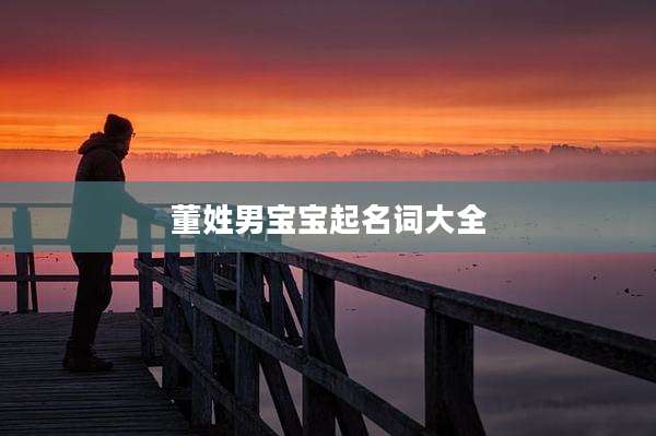 董姓男宝宝起名词大全