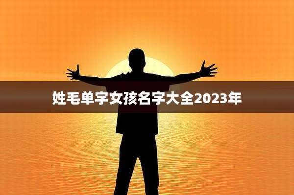 姓毛单字女孩名字大全2023年
