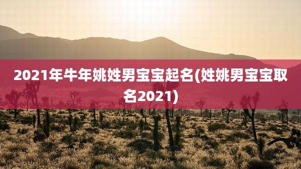 2021年牛年姚姓男宝宝起名(姓姚男宝宝取名2021)