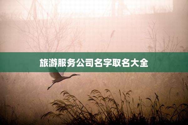旅游服务公司名字取名大全