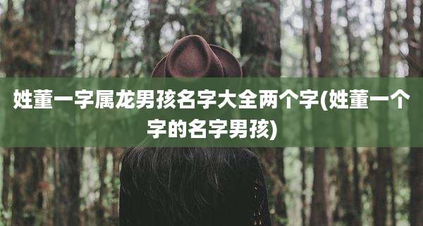 姓董一字属龙男孩名字大全两个字(姓董一个字的名字男孩)