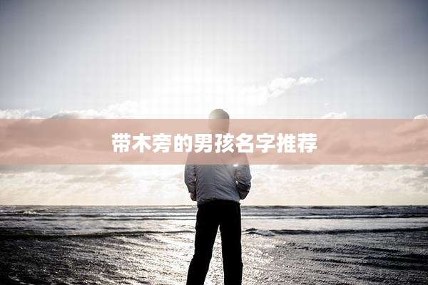 带木旁的男孩名字推荐