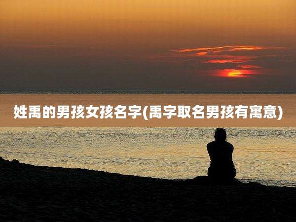 姓禹的男孩女孩名字(禹字取名男孩有寓意)