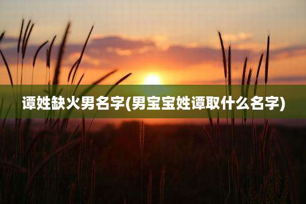 谭姓缺火男名字(男宝宝姓谭取什么名字)