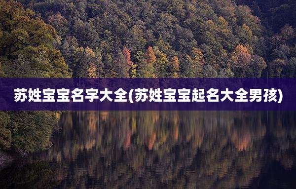 苏姓宝宝名字大全(苏姓宝宝起名大全男孩)