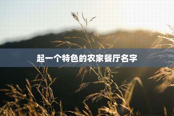 起一个特色的农家餐厅名字