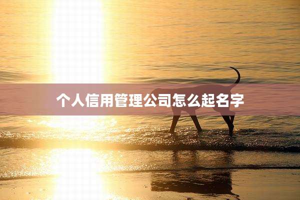 个人信用管理公司怎么起名字