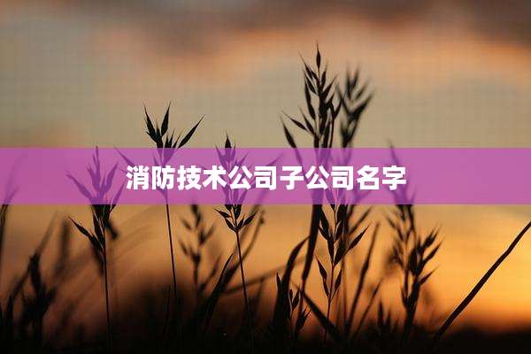 消防技术公司子公司名字