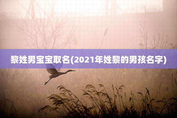 黎姓男宝宝取名(2021年姓黎的男孩名字)