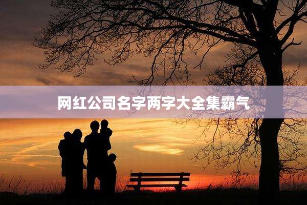 网红公司名字两字大全集霸气