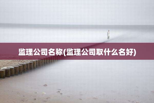 监理公司名称(监理公司取什么名好)