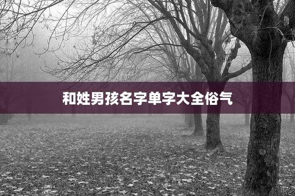 和姓男孩名字单字大全俗气