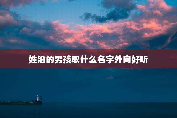 姓沿的男孩取什么名字外向好听