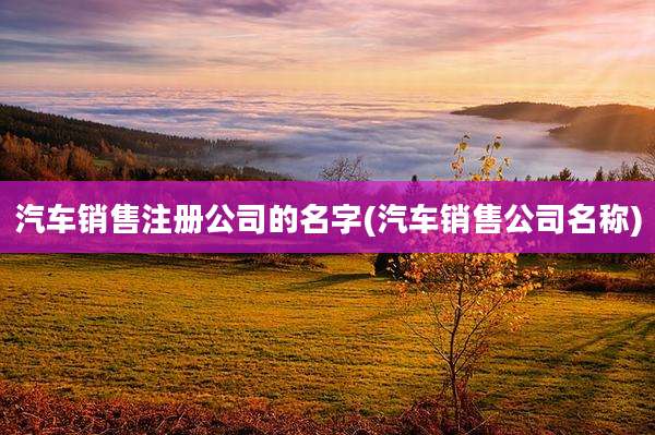 汽车销售注册公司的名字(汽车销售公司名称)