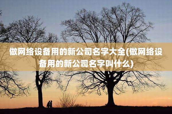 做网络设备用的新公司名字大全(做网络设备用的新公司名字叫什么)