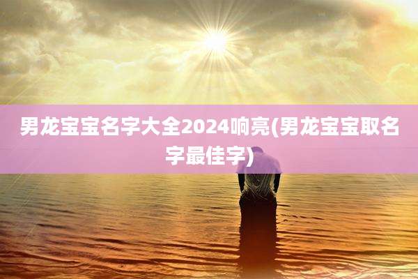 男龙宝宝名字大全2024响亮(男龙宝宝取名字最佳字)