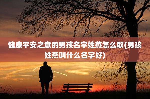 健康平安之意的男孩名字姓燕怎么取(男孩姓燕叫什么名字好)