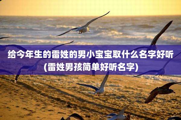 给今年生的雷姓的男小宝宝取什么名字好听(雷姓男孩简单好听名字)
