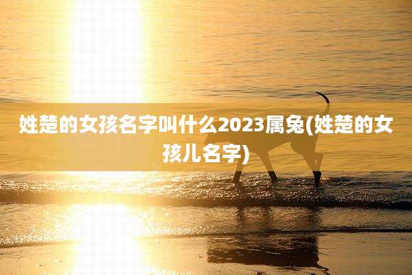 姓楚的女孩名字叫什么2023属兔(姓楚的女孩儿名字)
