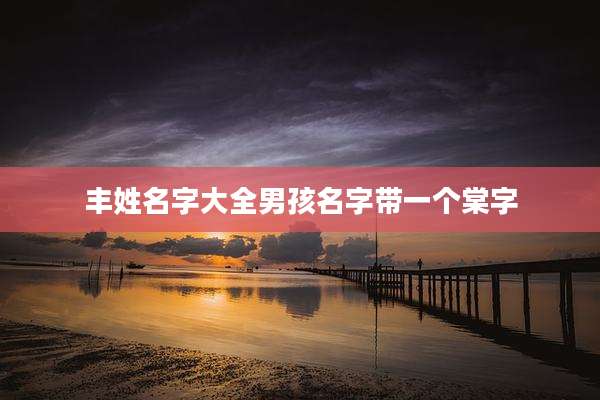 丰姓名字大全男孩名字带一个棠字
