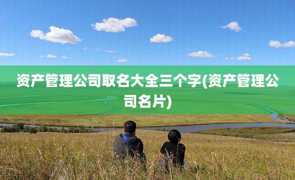 资产管理公司取名大全三个字(资产管理公司名片)