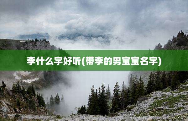 李什么字好听(带李的男宝宝名字)