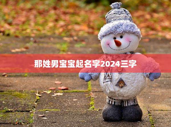 那姓男宝宝起名字2024三字