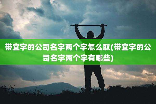 带宜字的公司名字两个字怎么取(带宜字的公司名字两个字有哪些)