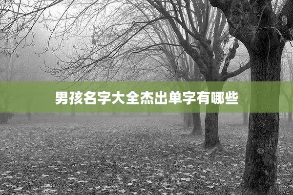 男孩名字大全杰出单字有哪些