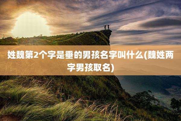 姓魏第2个字是垂的男孩名字叫什么(魏姓两字男孩取名)