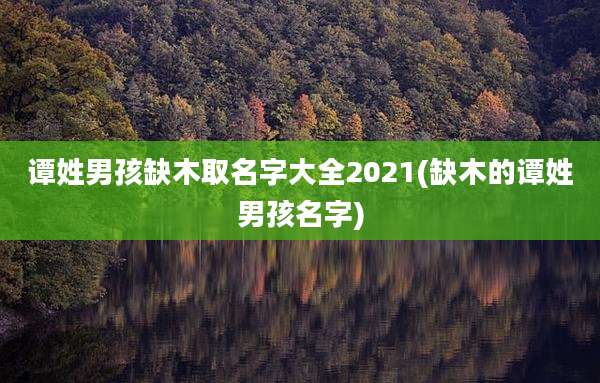 谭姓男孩缺木取名字大全2021(缺木的谭姓男孩名字)